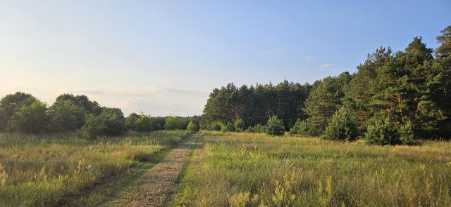 Działka budowlana Probostwo Dolne. Zdjęcie 1
