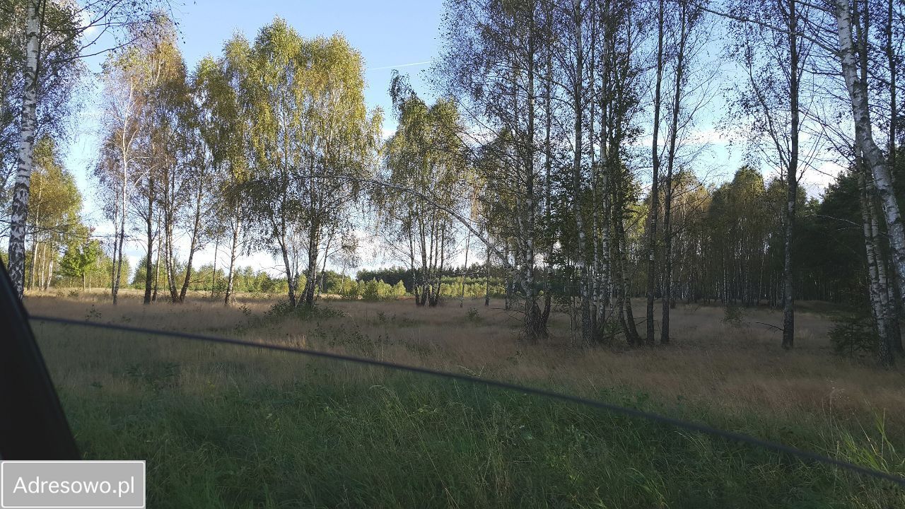 Działka rekreacyjna Czarne. Zdjęcie 2