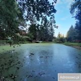 dom wolnostojący, 6 pokoi Olmonty. Zdjęcie 3