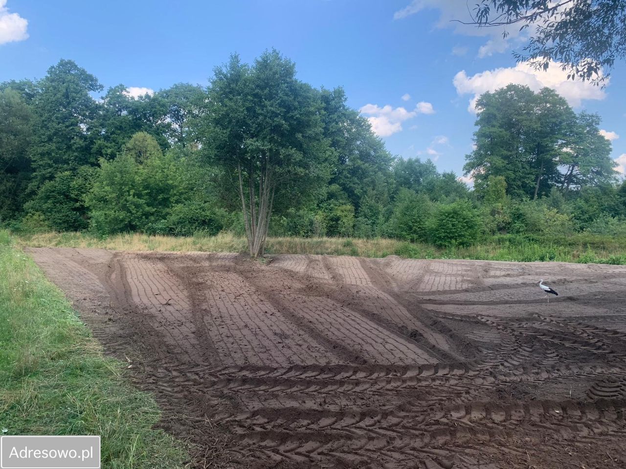 Działka budowlana Budy Zosine. Zdjęcie 5