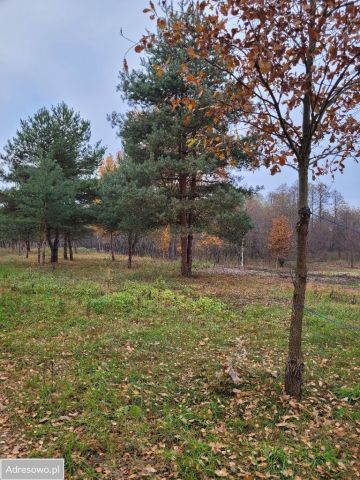 Działka budowlana Kazuń-Bielany, ul. Kampinoska. Zdjęcie 1