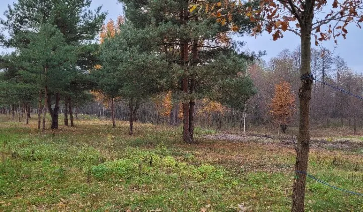 Działka budowlana Kazuń-Bielany, ul. Kampinoska