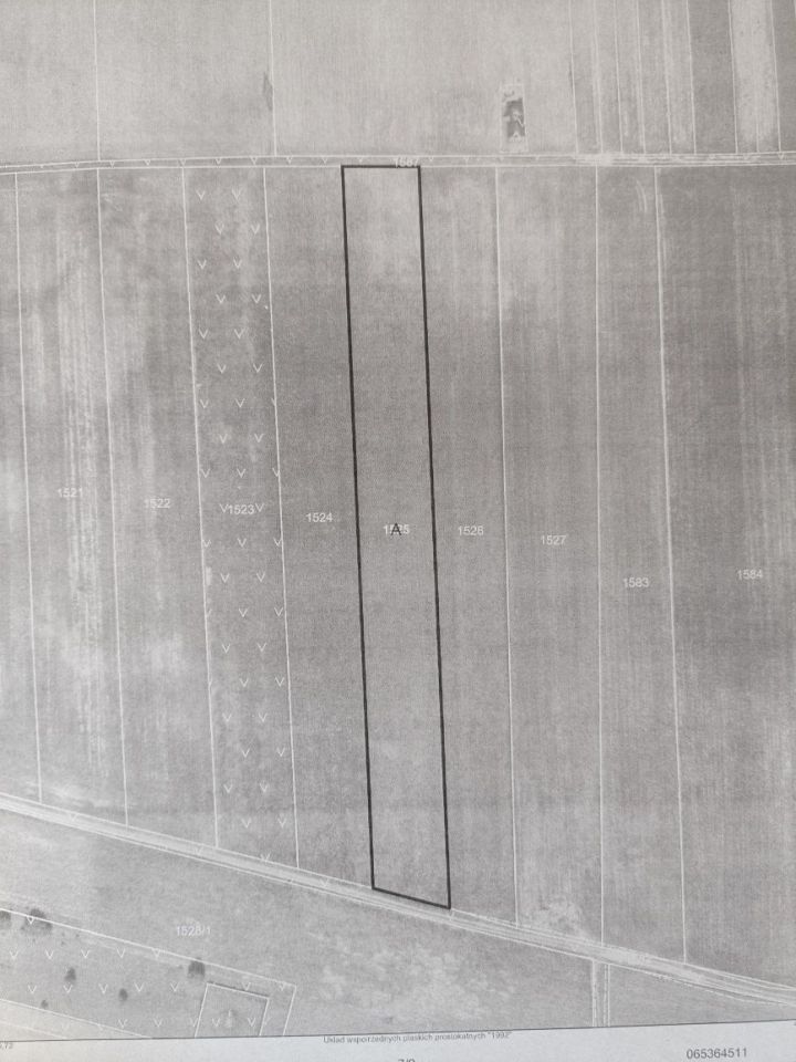 Działka rolna Siemkowice. Zdjęcie 3