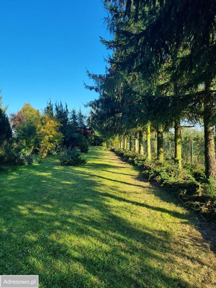 Działka rolno-budowlana Boduszyn. Zdjęcie 9