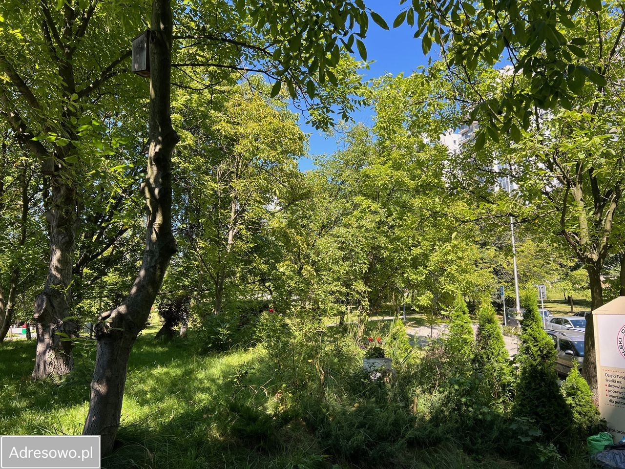 Działka inwestycyjna Katowice os. Tysiąclecia, ul. Mieszka I. Zdjęcie 6