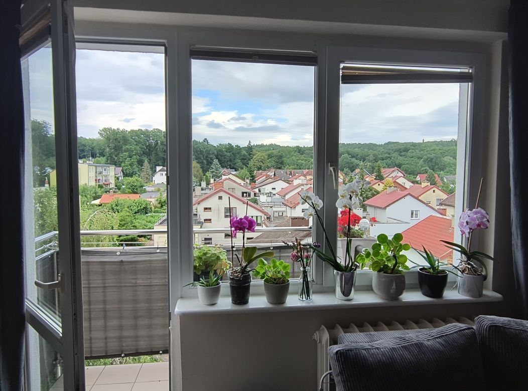 Mieszkanie 3-pokojowe Koszalin. Zdjęcie 2