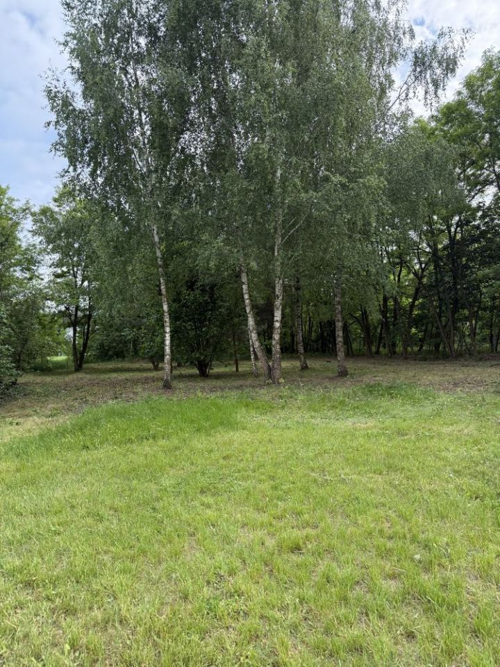 Działka budowlana Czyżew-Ruś-Kolonia. Zdjęcie 6