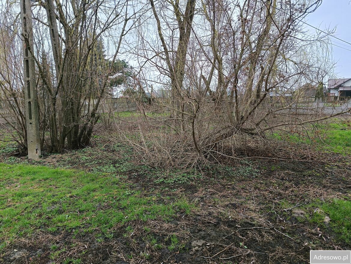 Działka rolno-budowlana Wola Zabierzowska. Zdjęcie 2