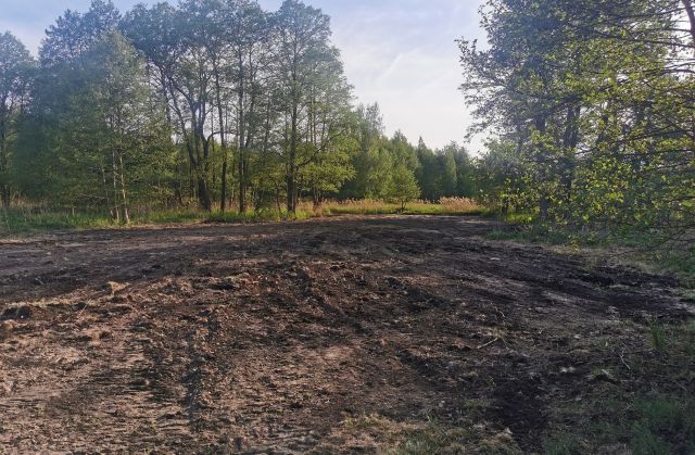 Działka rolna Wola Gołkowska, ul. Trzcinowa. Zdjęcie 1