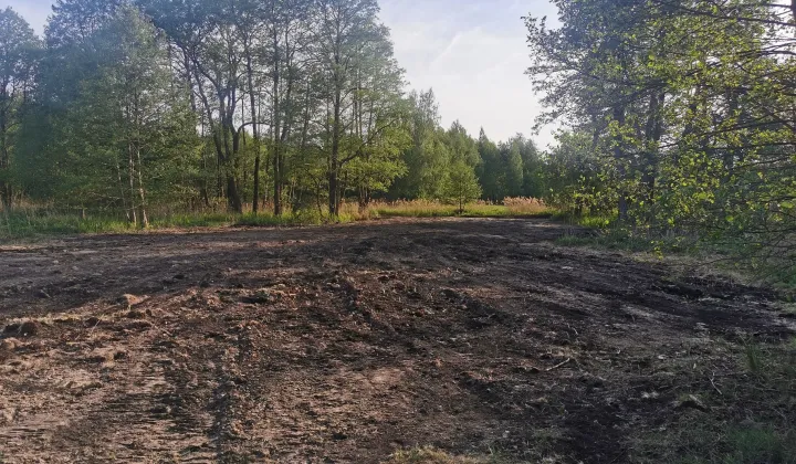 Działka rolna Wola Gołkowska, ul. Trzcinowa