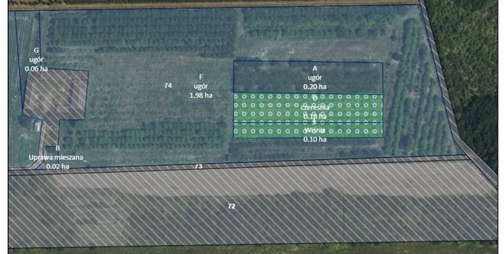 Działka rolna Wola Worowska. Zdjęcie 2