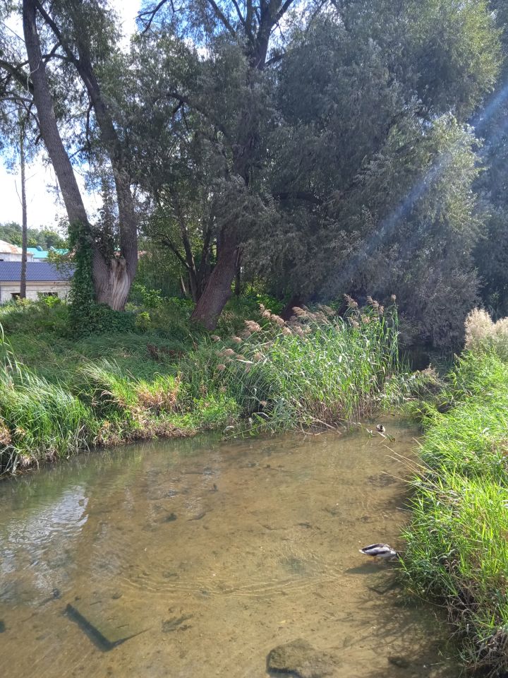 Mieszkanie 2-pokojowe Siemiatycze, ul. 11 Listopada. Zdjęcie 14