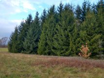 Działka rolna Ługi. Zdjęcie 4