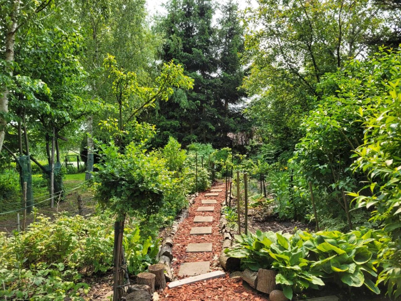 siedlisko Barkowo. Zdjęcie 8