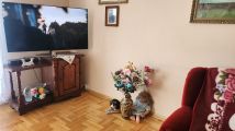 Mieszkanie 2-pokojowe Przasnysz, ul. Brzozowa. Zdjęcie 3