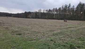 Działka budowlana Kościelec, ul. Różana