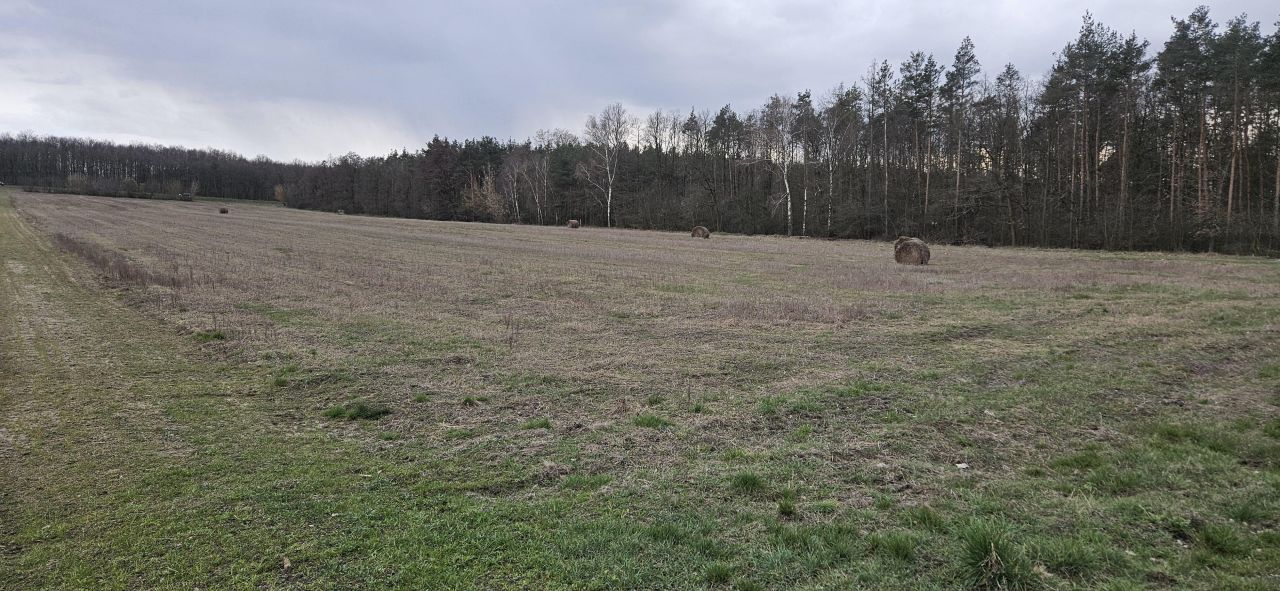 Działka budowlana Kościelec, ul. Różana. Zdjęcie 2