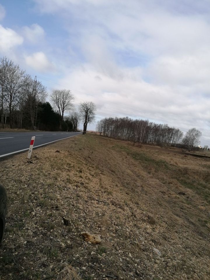 Działka rolna Rusko. Zdjęcie 2