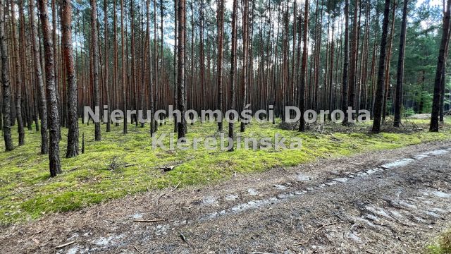 Działka rekreacyjna Inowłódz. Zdjęcie 10