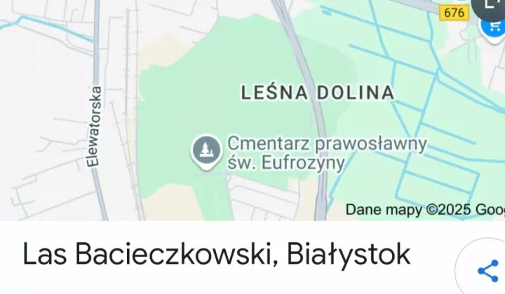 Działka leśna Białystok Leśna Dolina, al. Niepodległości