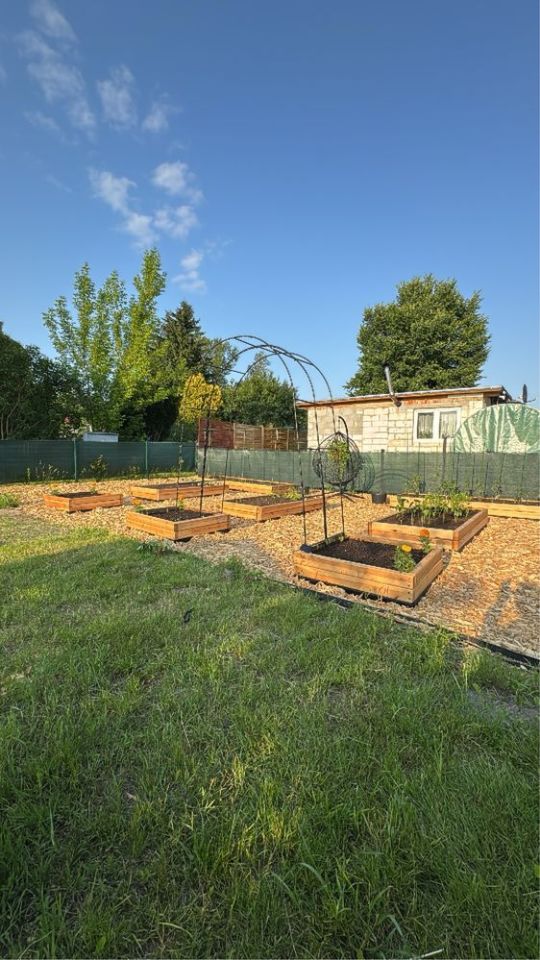 Działka rod Toruń. Zdjęcie 5