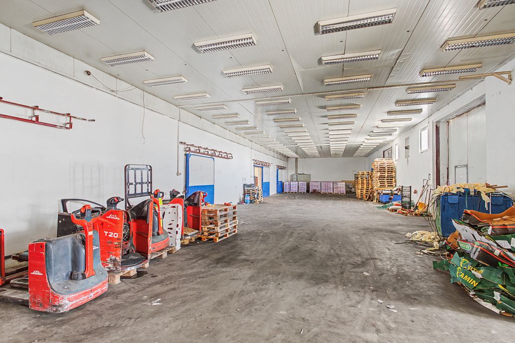 Hala/magazyn Ołtarzew, ul. Poznańska. Zdjęcie 8