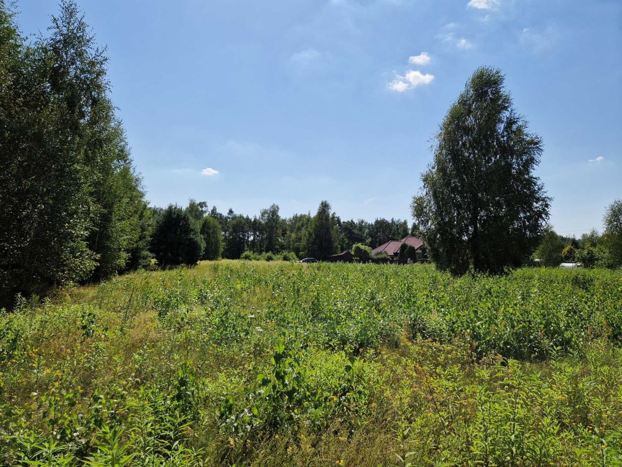 Działka budowlana Błędowo, ul. Słowiańska. Zdjęcie 6