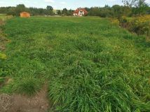 Działka budowlana Książenice, ul. Jarzynowa. Zdjęcie 3