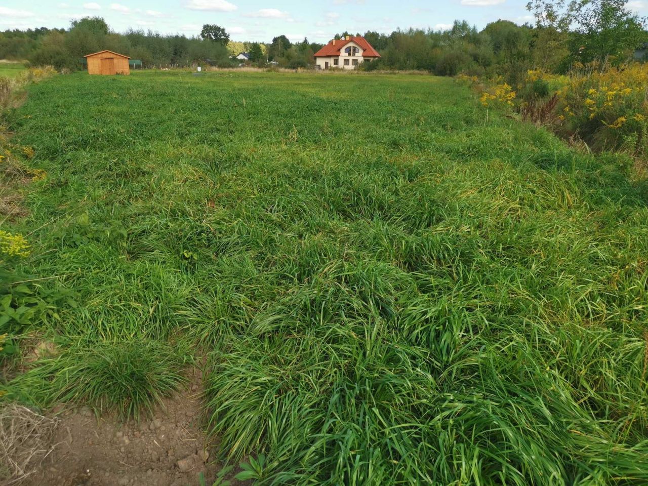 Działka budowlana Książenice, ul. Jarzynowa. Zdjęcie 4