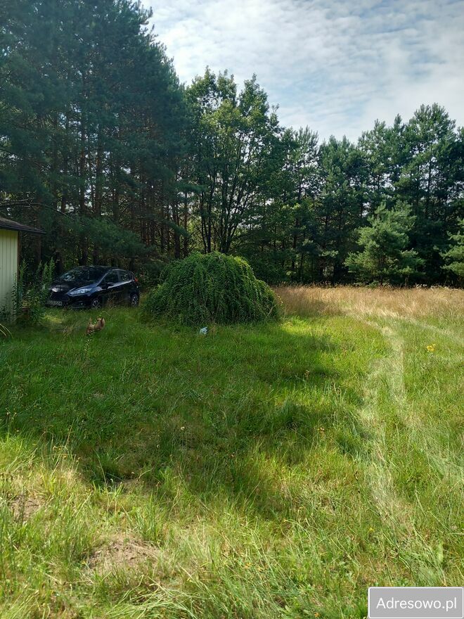 Działka budowlana Bardzynin. Zdjęcie 3
