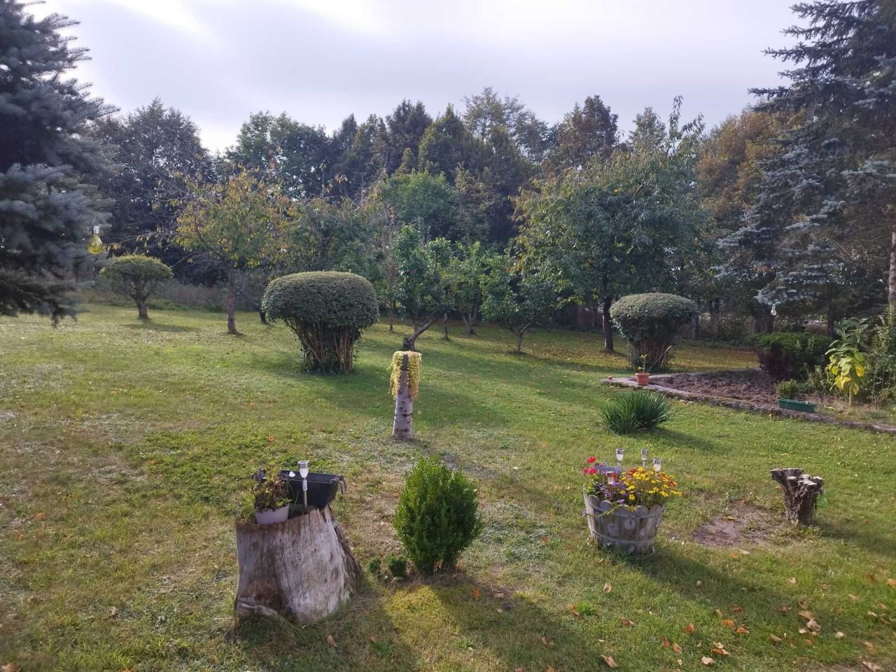 siedlisko Runowo. Zdjęcie 4