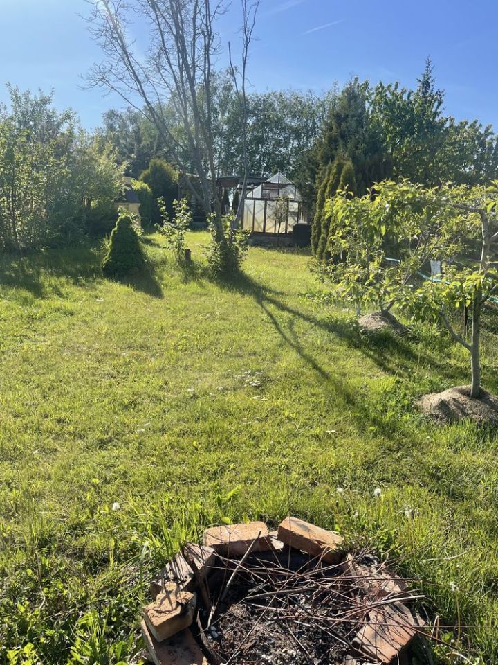 Działka rod Wąbrzeźno. Zdjęcie 3