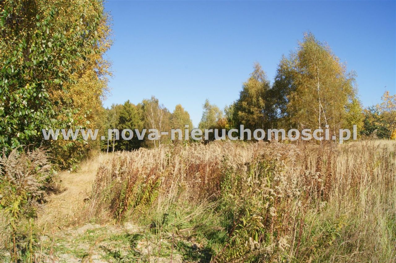 Działka inwestycyjna Rybnik Boguszowice. Zdjęcie 2