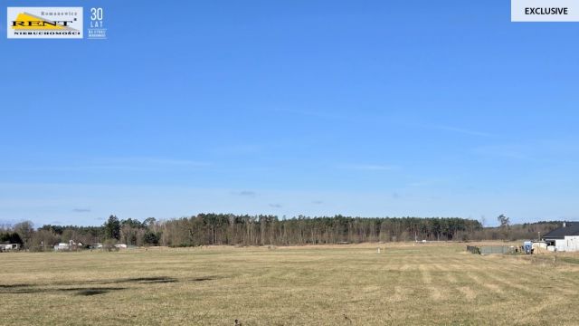 Działka budowlana Miękowo. Zdjęcie 4