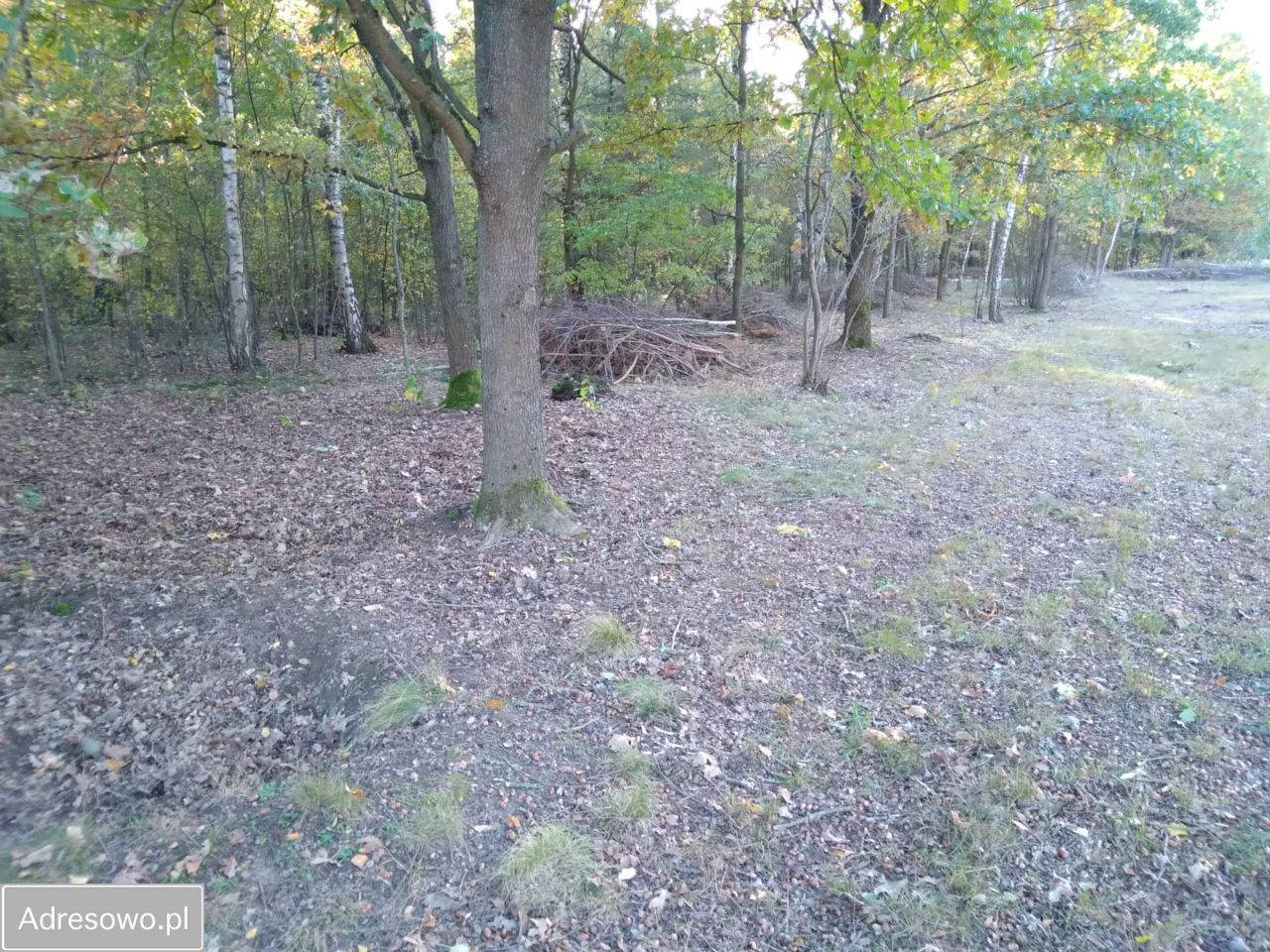 Działka budowlana Nowa Wieś. Zdjęcie 15