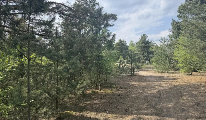 Działka rolna Tatar