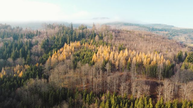 Działka budowlana Wieściszowice. Zdjęcie 3