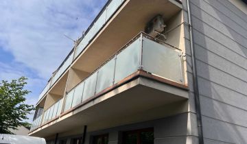 Lokal Siedlce Centrum, ul. 3 Maja