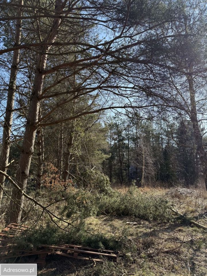 Działka rolno-budowlana Koleczkowo, ul. Słoneczna. Zdjęcie 10