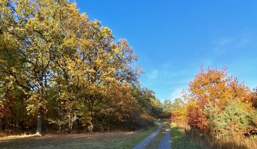 Działka budowlana Wólka Dworska