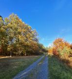 Działka budowlana Wólka Dworska. Zdjęcie 1