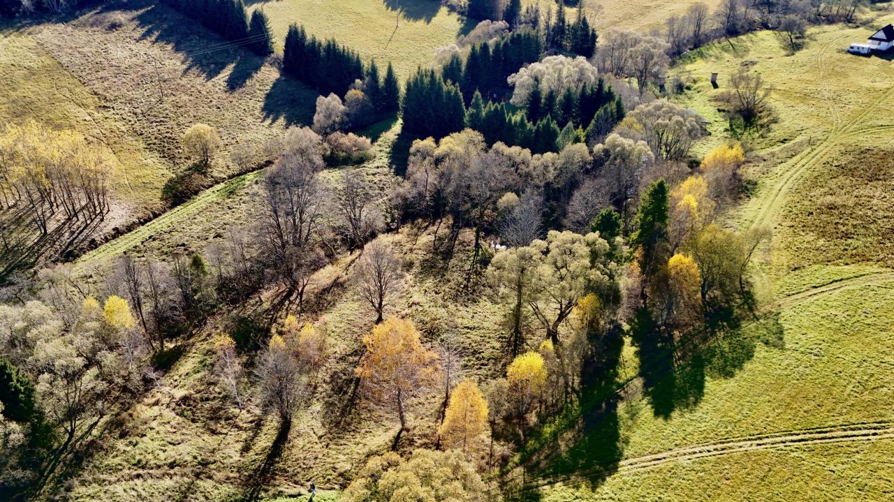 Działka inna Smerek. Zdjęcie 3