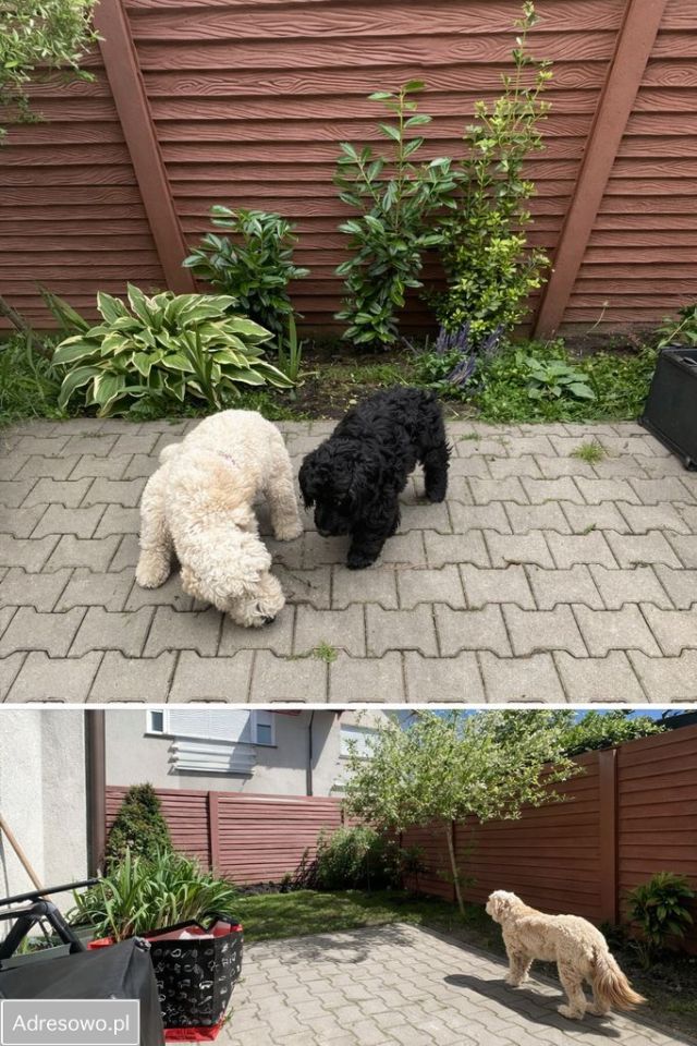 bliźniak, 3 pokoje Komorniki, ul. Fabianowska. Zdjęcie 15