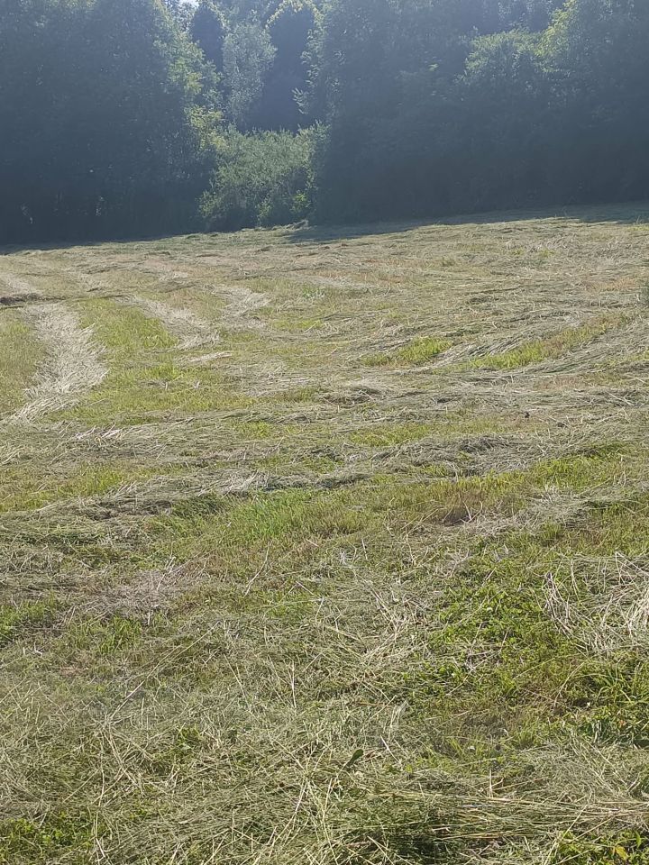 Działka budowlana Białka. Zdjęcie 4