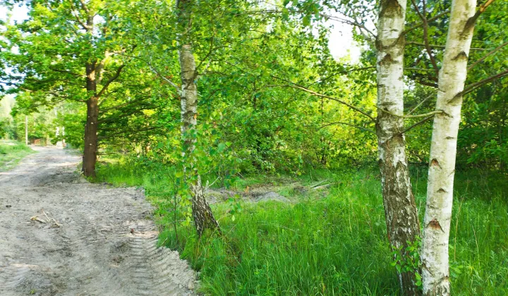 Działka budowlana Bieganów, ul. Dzika
