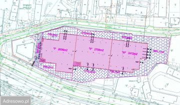 Hala/magazyn Będzin, ul. Paryska