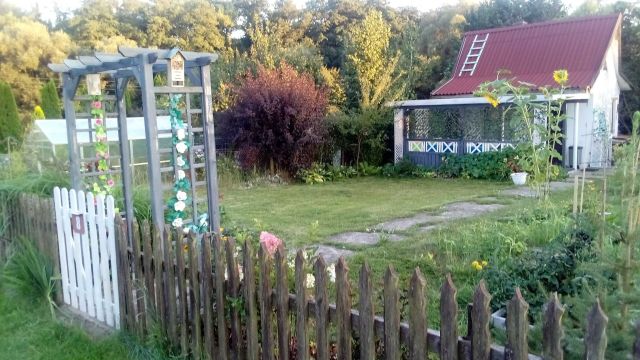 Działka rod Toszek, Boguszycka. Zdjęcie 1