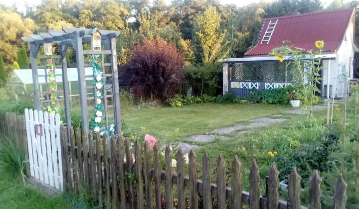 Działka rod Toszek, ul. Boguszycka