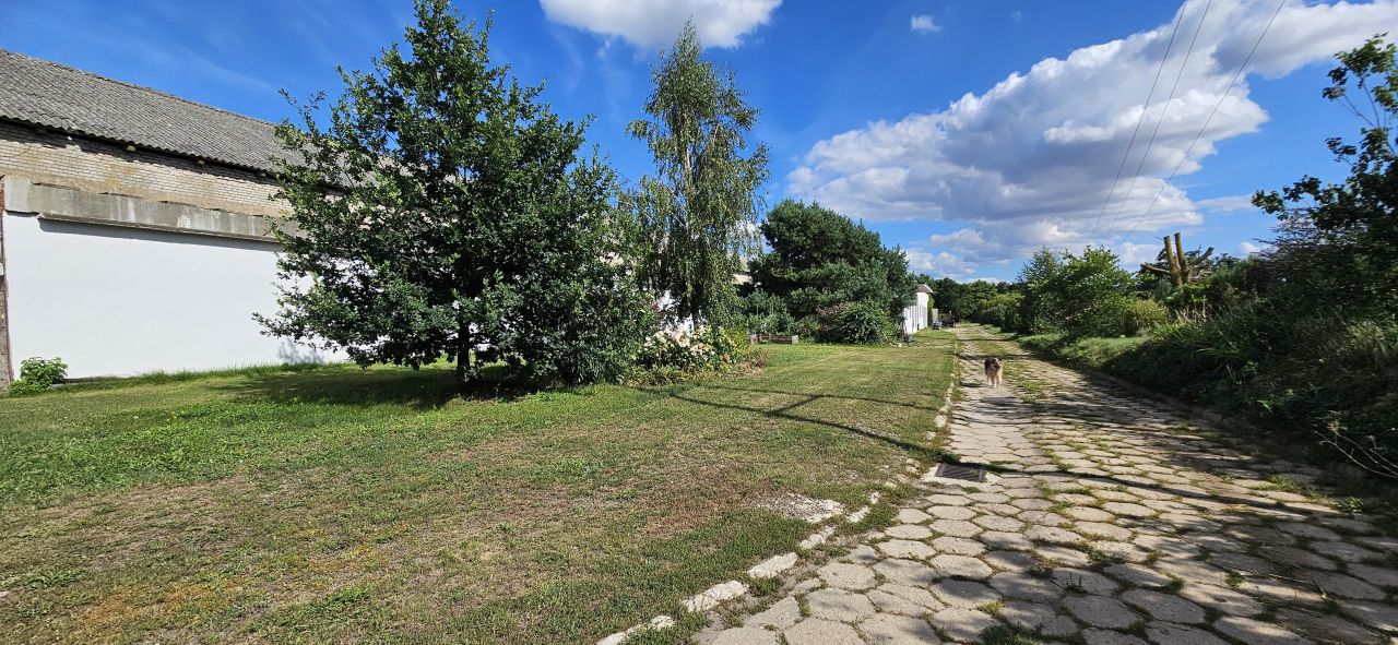 Hala/magazyn Witnica, ul. Chojeńska. Zdjęcie 28