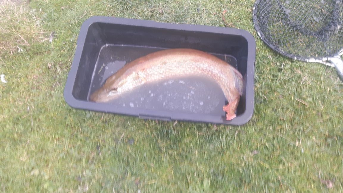 Działka rekreacyjna Zalesie. Zdjęcie 6